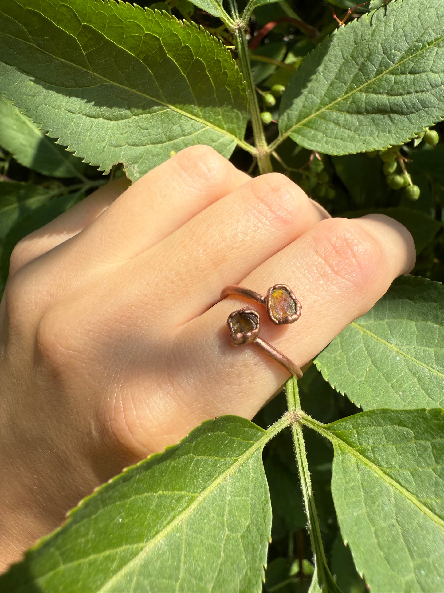 Ring AMBER